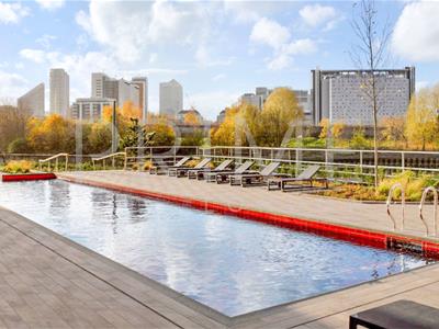 Picture 9